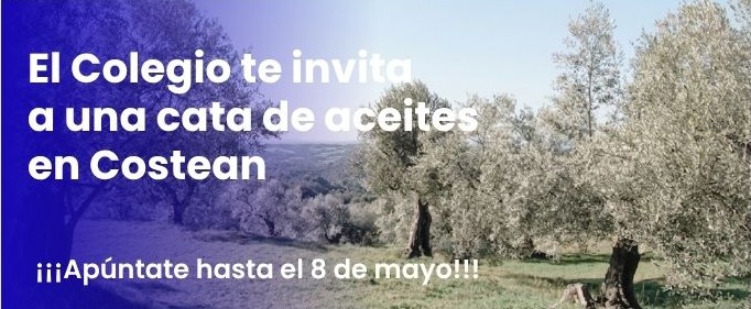 Banners Cata de aceites (2026) img